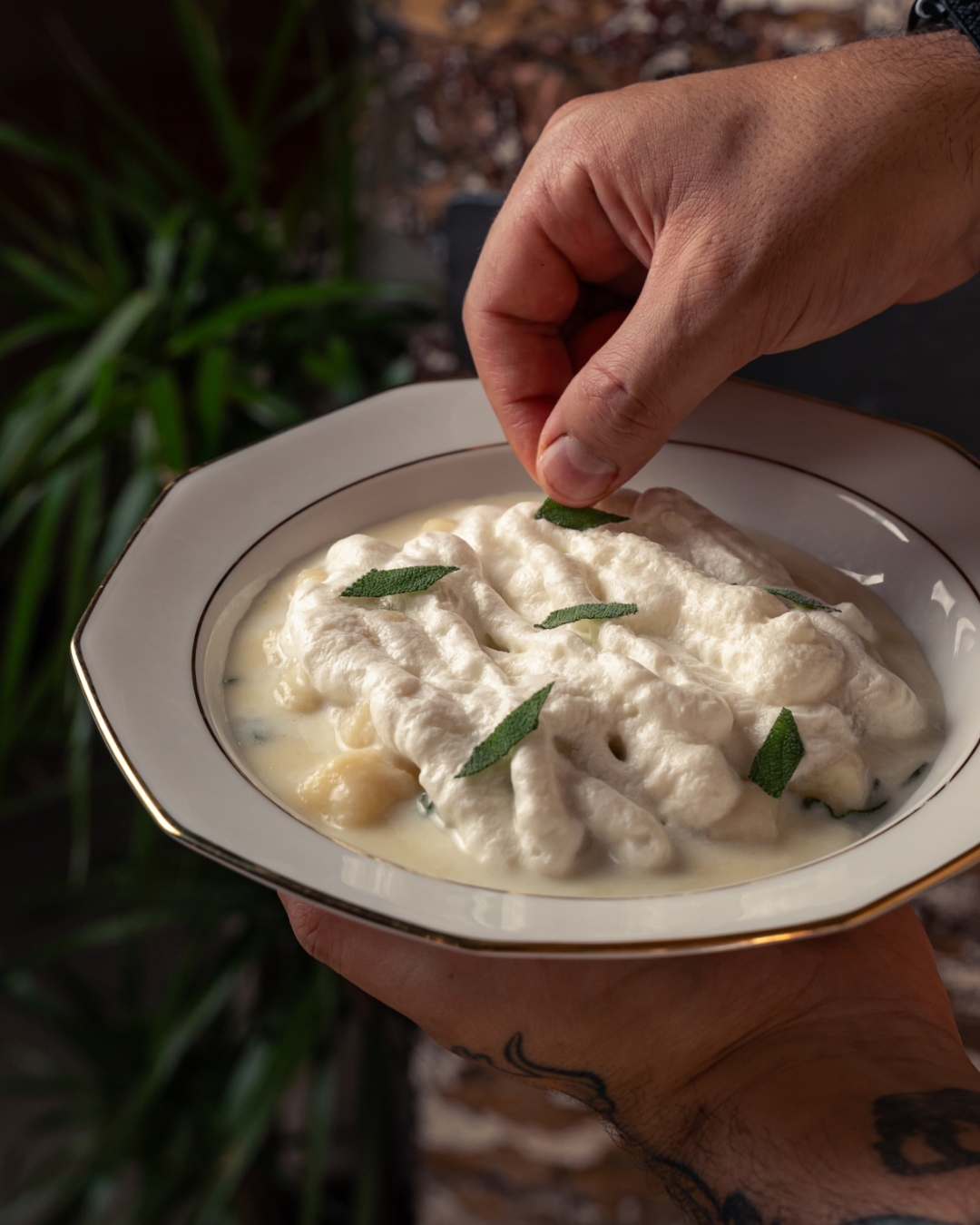 Pasqualina Cucina Sincera, ristorante a Frascati - gallery 4